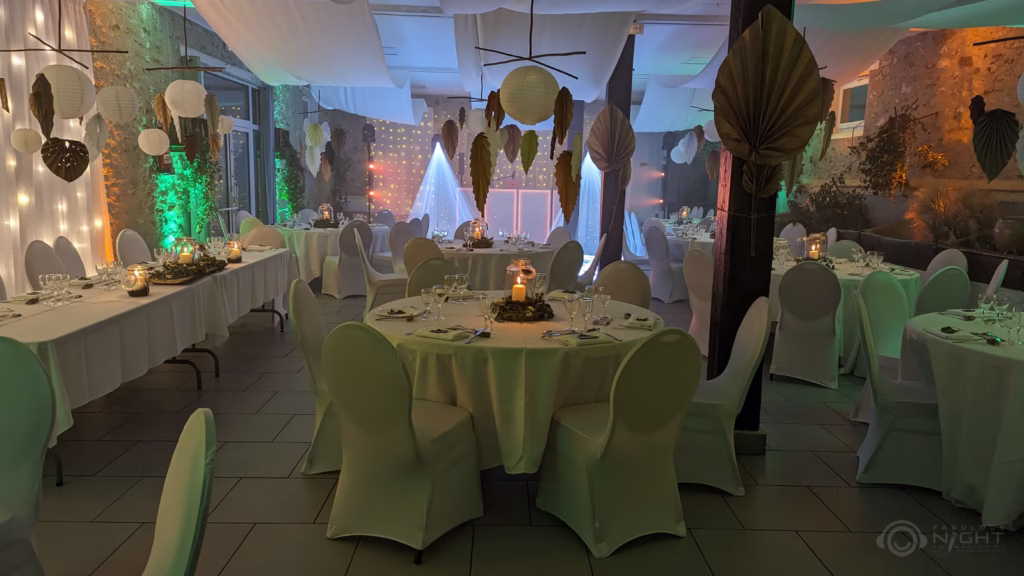 dj evenement 77